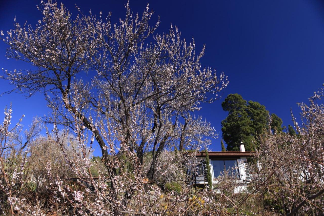 Panorama Suite El Mirador Puntagorda 外观 照片